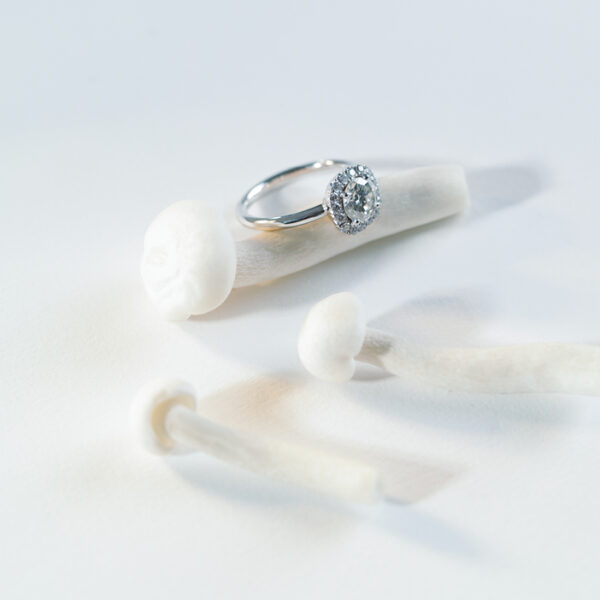 solitaire diamant or blanc