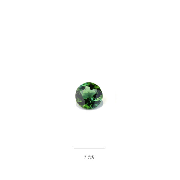 Cette belle tourmaline verte parfaitement ronde, peut-être sertie sur une bague ou en pendentif.