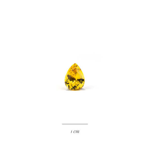 Saphir jaune taille poire pour création de bague sur mesure à la Compagnie des Gemmes joaillier à Paris