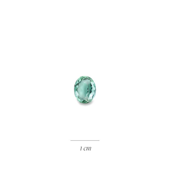 Tourmaline verte ovale 2,26 carats pour création de bague sur mesure à la COmpagnie des Gemmes joaillier à Paris